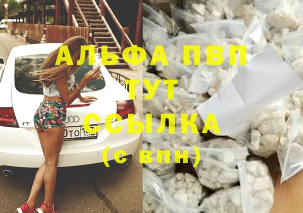 гашик Богородицк