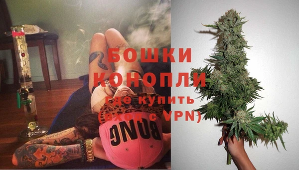 гашик Богородицк