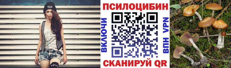 Псилоцибиновые грибы GOLDEN TEACHER  Новый Уренгой 